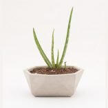maceta de cemento gris poligonal cactus oitenta coolmaison