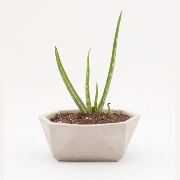 maceta de cemento gris poligonal cactus oitenta coolmaison