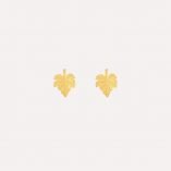 Pendientes hoja de parra
