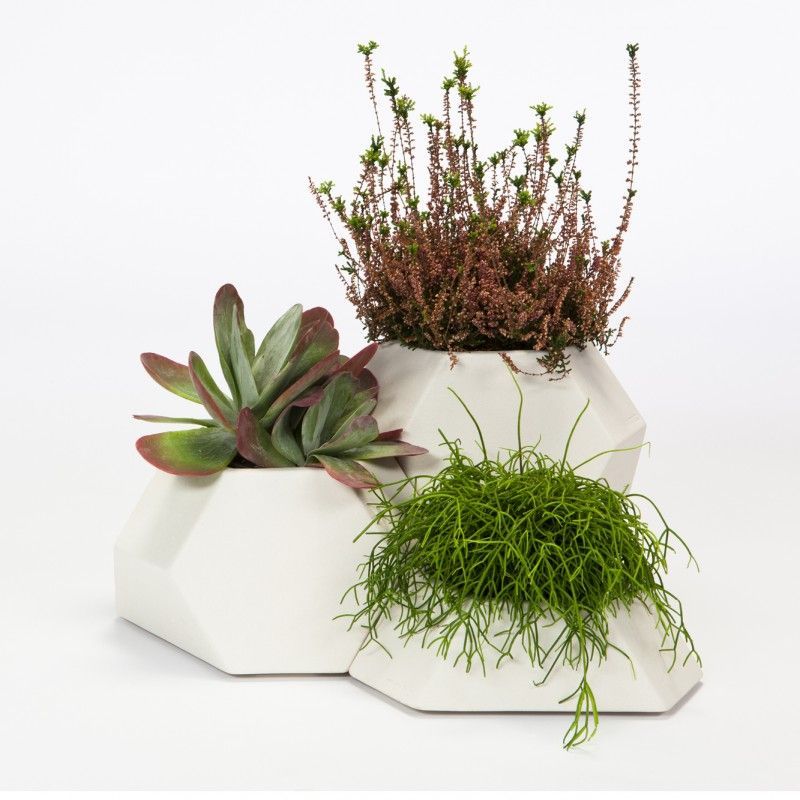 miguel-angel-garcia-coolmaison