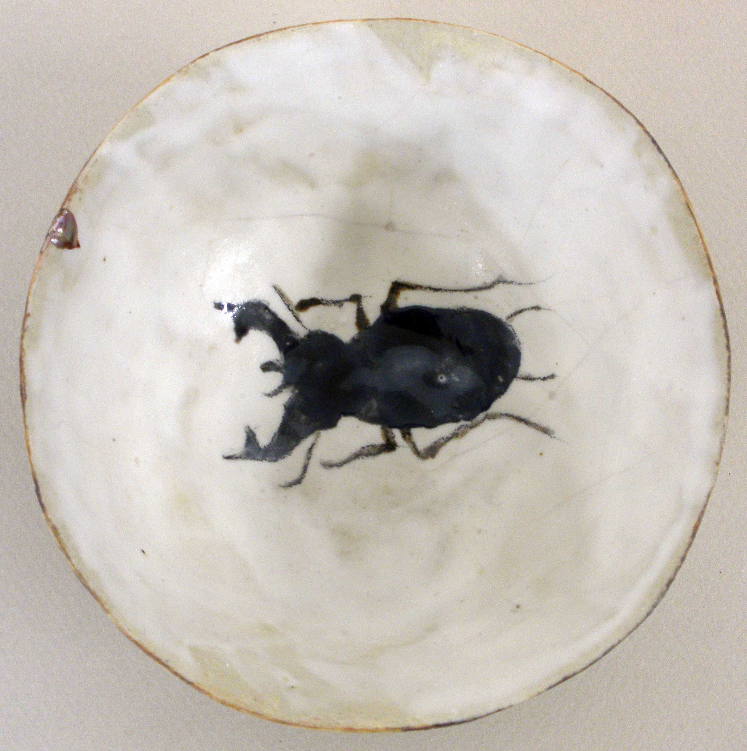 escarabajo-negro-plato-ceramica-coolmaison