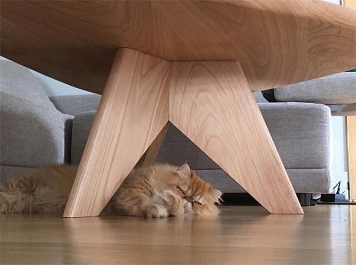 10 cambios que puedes hacer en casa para que sea más relajante